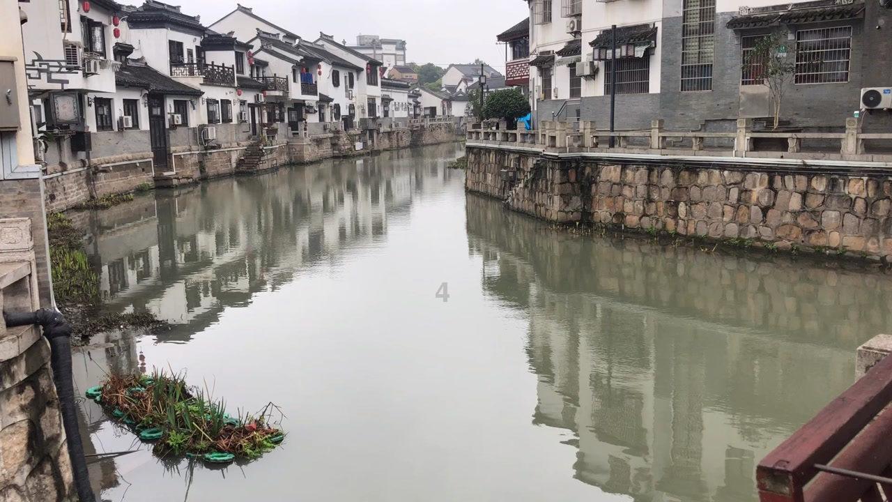 被困在殿堂的学生